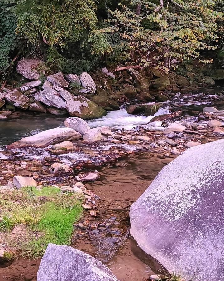 ホテル Riverside Retreat ヘンダーソンビル エクステリア 写真